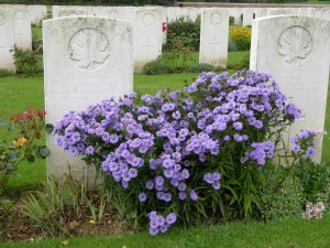 Flowers at Villers Station Cemetery, France.