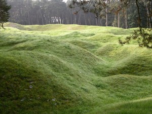 Craters at Vimy. 2013.