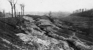 Gerrman line of trenches behind Vimy