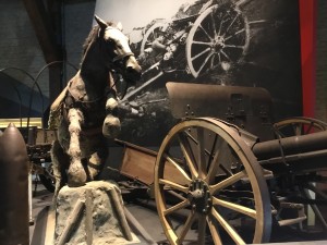 War Horse at the In Flanders Fields Museum, Ieper, Belgium. (P. Ferguson image, August 2018)